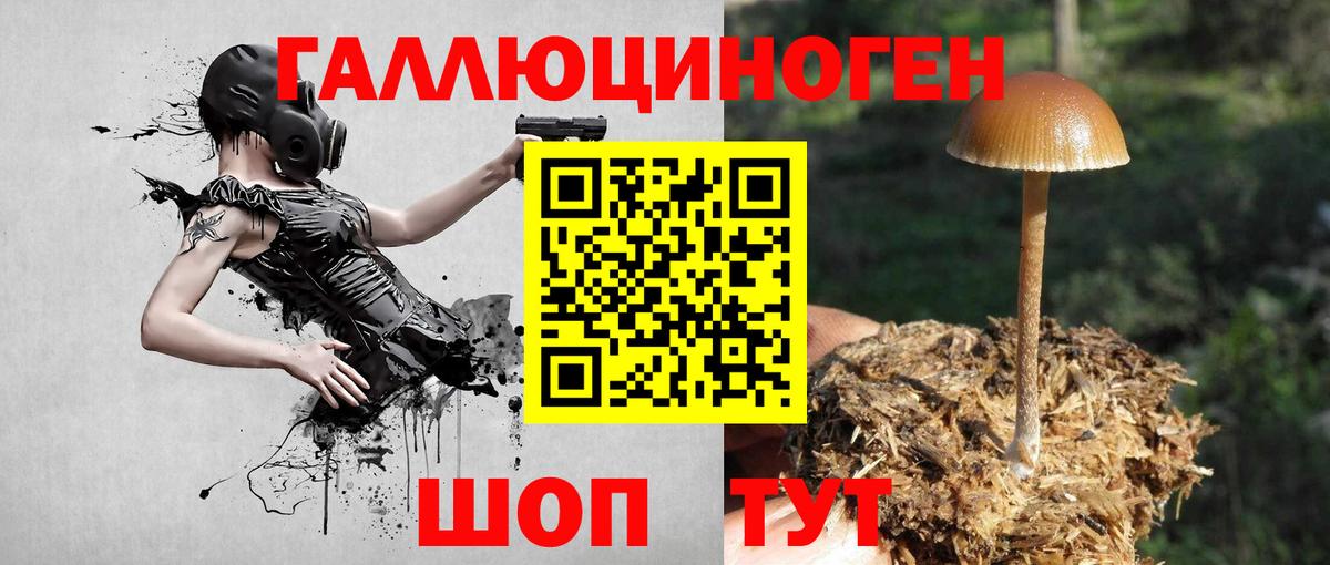 Псилоцибиновые грибы MAGIC MUSHROOMS  Вход с VPN  где можно купить наркотик  Псилоцибиновые грибы мухоморы  Сальск 